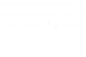 Reactor Thermoplastic Polyolefin Elastomer (TPO) Market