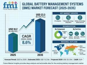 Battery Management System Market Outlook