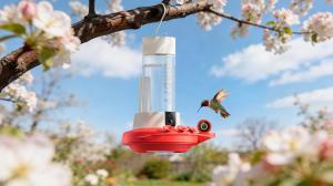 Birdfy smart feeders with cameras capture every shimmer of hummingbirds.