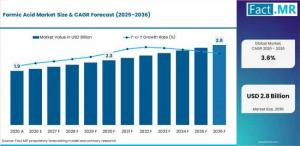Formic Acid Market size