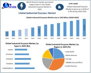 Industrial Enzymes Market graph