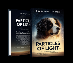 Particles of Light by David Emerson Trim