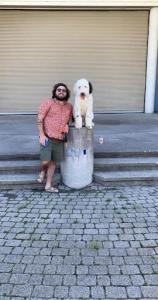 Off leash K9 Training Toledo Photo