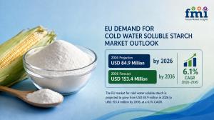 EU Cold Water Soluble Starch Market Analysis