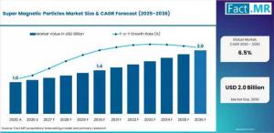 Super Magnetic Particles Market