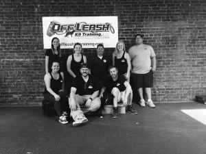 Off Leash k9 Training NY