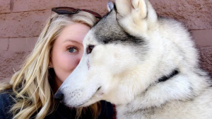 Off Leash k9 Training Dog