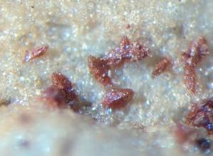 Iridescent Coating Albertiniite