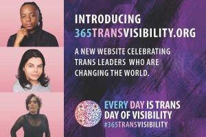 Introducing 365TransVisibility.org