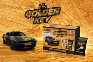 An image of the Experience Box by Based Trading Cards