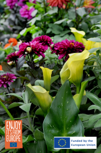 Image of Deer-resistant bulbs