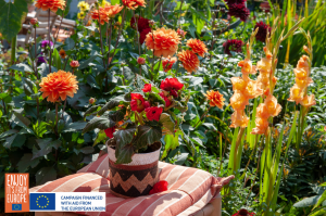 Image of Deer-resistant bulbs