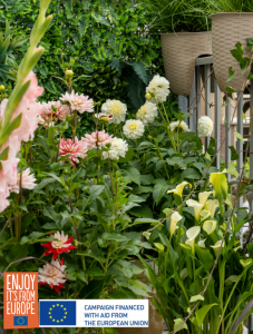 Image of Deer-resistant bulbs