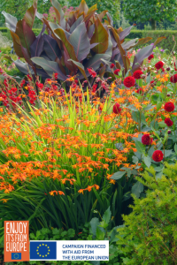 Image of Deer-resistant bulbs