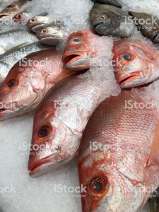 Frozen Fish and Seafood