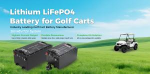 professional golf cart LiFePO4 battery supplier