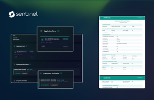A screen grab from Sentinel by Spotter AI