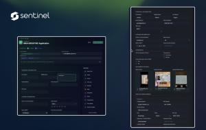 A screen grab from Sentinel by Spotter AI