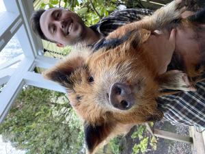 Alex Rossman with Rescued Kune Kune Pig