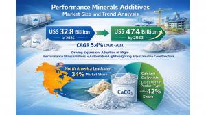 Performance Minerals Additives Market