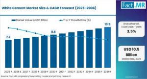 white cement market