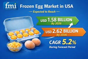 Frozen Egg Market in USA