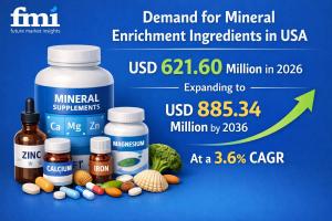 Mineral Enrichment Ingredients Market in USA