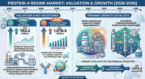 Protein A Resins Market size