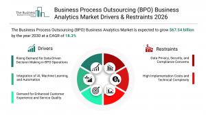 bpo business analytics market overview