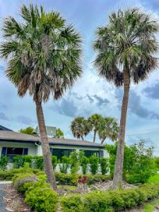 Florida Rehab Center