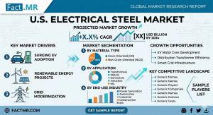 U.S. Electrical Steel