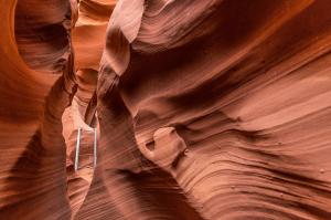 A narrow slot canyon with smooth red sandstone walls and a metal ladder positioned between tight rock formations.
