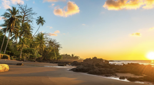 Explore lush Costa Rican rainforest landscapes on a guided adventure with Off the Beaten Path