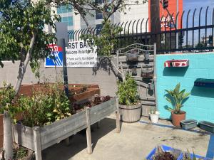 The vegetables and fruit planted at the Exceptional Children's Foundation for the "Future in Bloom" Project in Inglewood partnered with First Bank