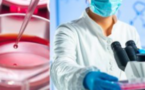 Dr. Alexander Haskell, ND