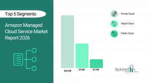 Amazon Managed Cloud Service Market Report 2026_Segments