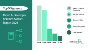 Cloud Ai Developer Services Market Report 2026_Segments