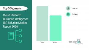 Cloud Platform Business Intelligence (BI) Solution Market Report 2026__Segments