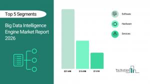 Big Data Intelligence Engine Market Size