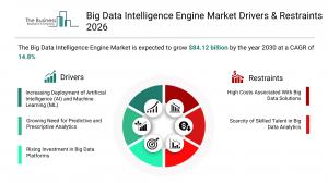 Big Data Intelligence Engine Market Share