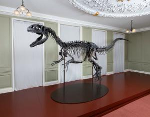 Juliasaurus dinosaur on display at Hollytrees Museum