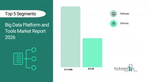 Big Data Platform and Tools Market Growth
