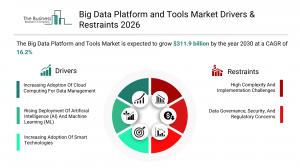 Big Data Platform and Tools Market Size