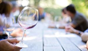Charlottesville wine tour table with glasses celebrating in toast