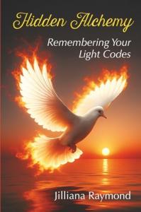 light codes by Jilliana Raymond