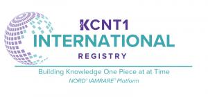 Logo for the KCNT1 International Registry featuring a stylized globe in purple and teal, with the tagline ‘Building Knowledge One Piece at a Time’ and reference to the IAMRARE platform by National Organization for Rare Disorders.