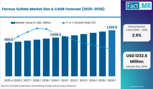 Ferrous Sulfate Market