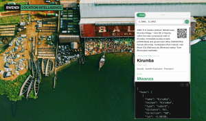 A shot of an otherwise difficult-to-address location in Tanzania, resolved by Bwendi