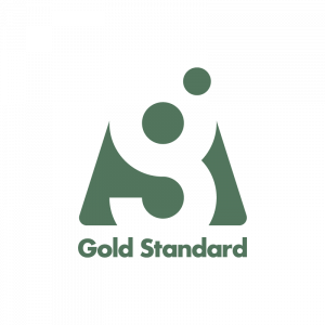 Gold Standard Solutions logo
