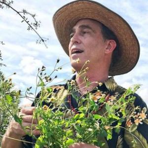 Bob Linde teaching about Bidens alba/Spanish needles a common weed in Florida that is a powerful edible and medicinal plant.